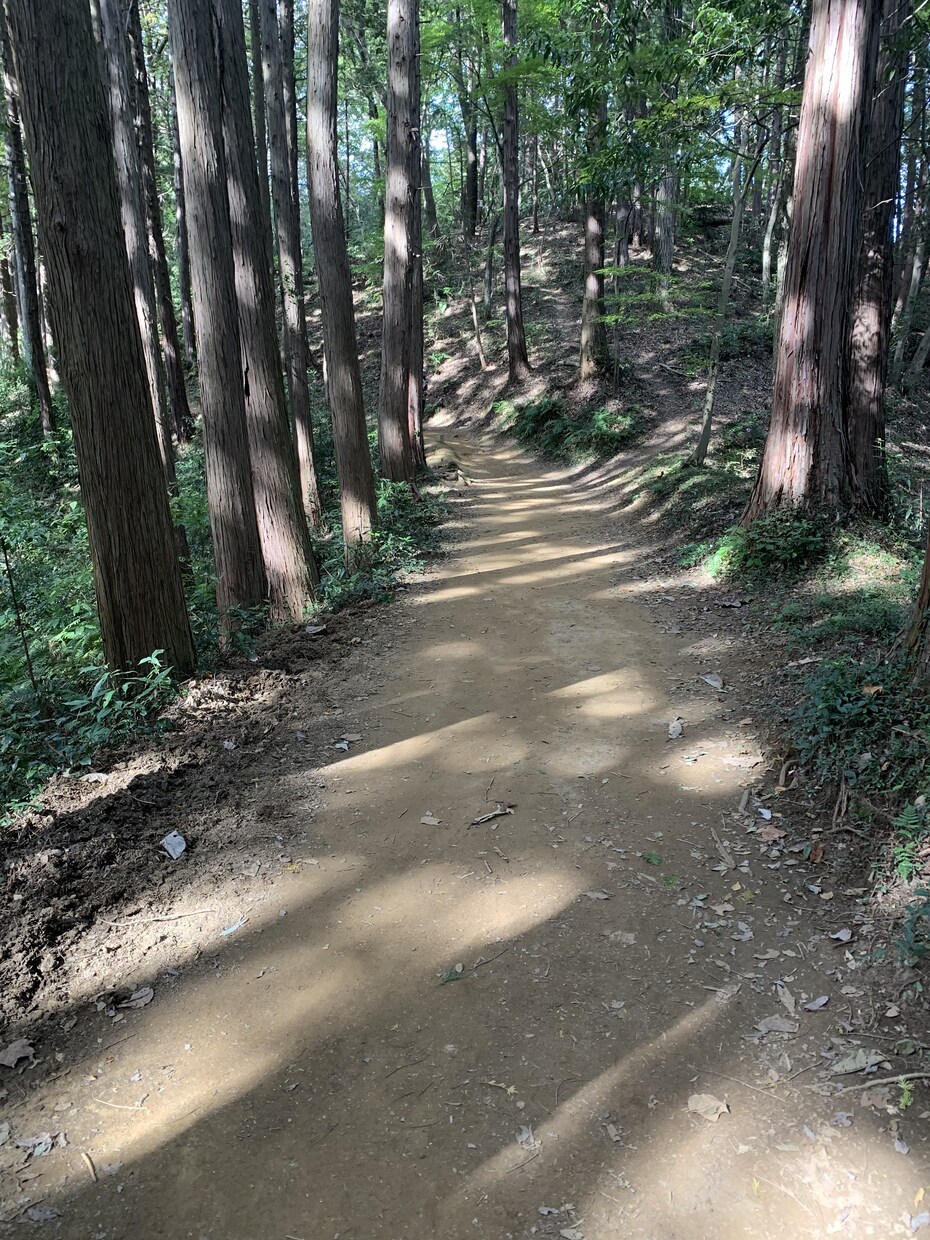 おとなしい人専門で話を聞きます 気軽に普段話さないことを言って自分の考え整理してスッキリ イメージ5