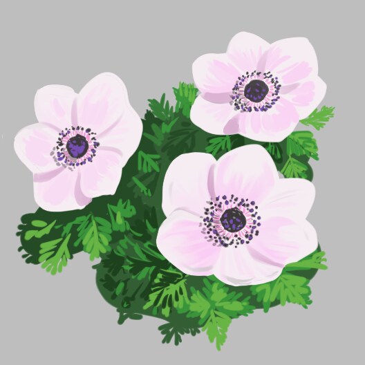 植物のイラストを制作します 現役農家が植物のイラストを作成します。 イメージ1