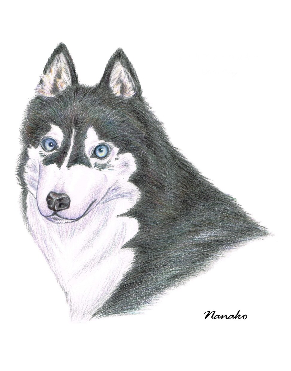 色鉛筆画★大切なペット・動物のイラストを描きます 動物を描き続けて10年以上　色鉛筆で動物の魅力を表現します！ イメージ5