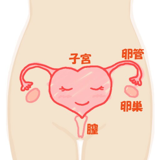 卵巣の病気の経験談話します 右成熟嚢胞奇形種になり手術で卵巣を少しとりました。 イメージ1