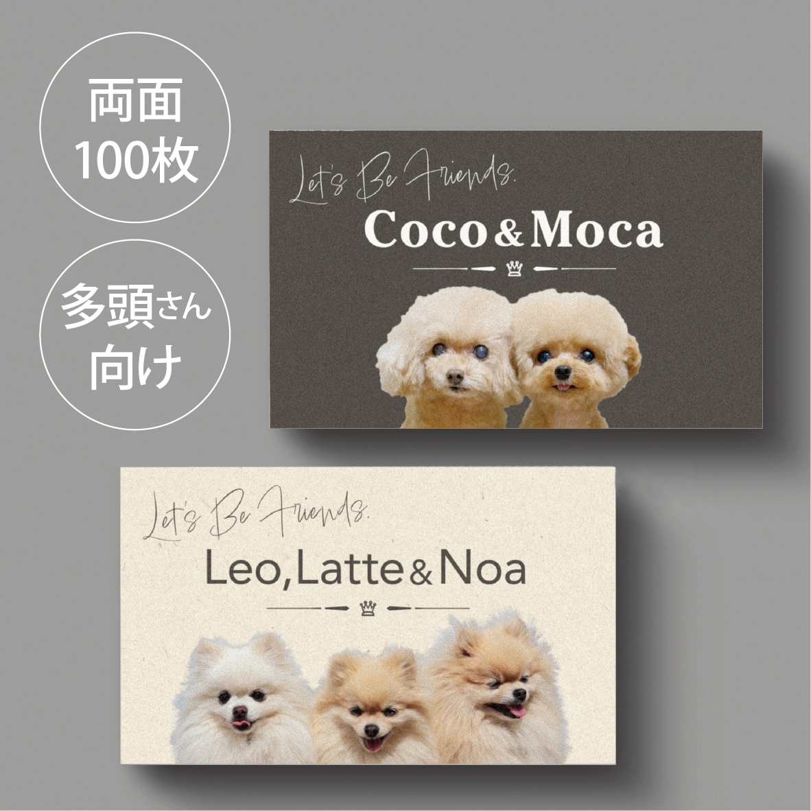 写真入り多頭ペット名刺をシンプルデザインで作ります グラフィックデザイナーにセミオーダー！両面印刷100枚送料込 イメージ1