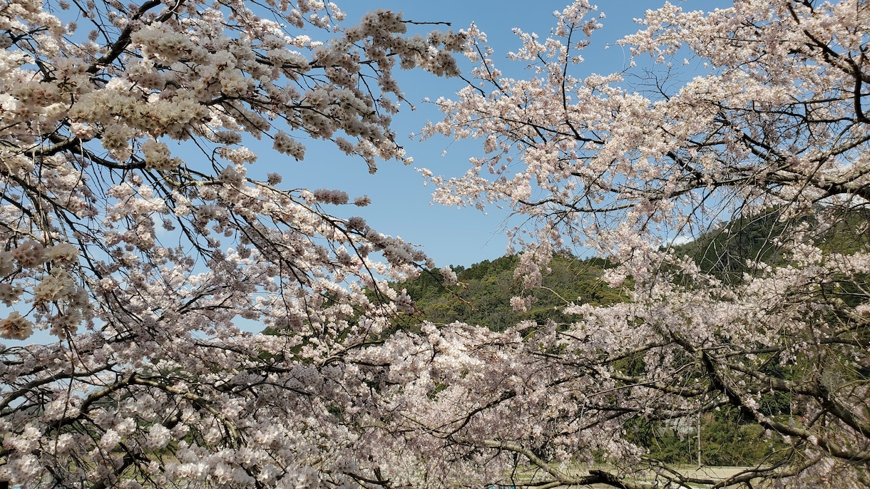 お子様の不登校の相談に乗ります 明日から一歩前にすすめるように、サポートします！ イメージ1