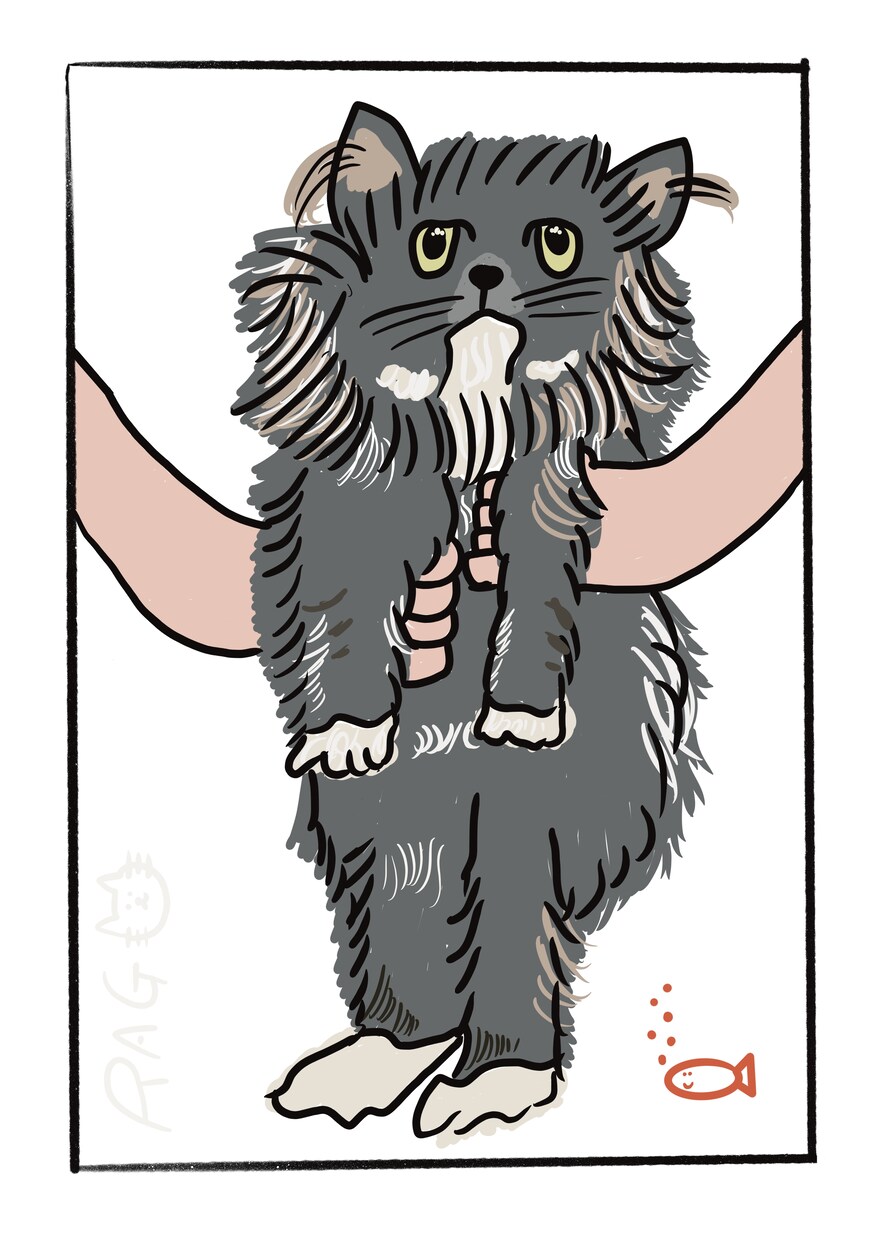 ペット様の似顔絵描きます カラフルな〜ポップなイラストです！！ イメージ3