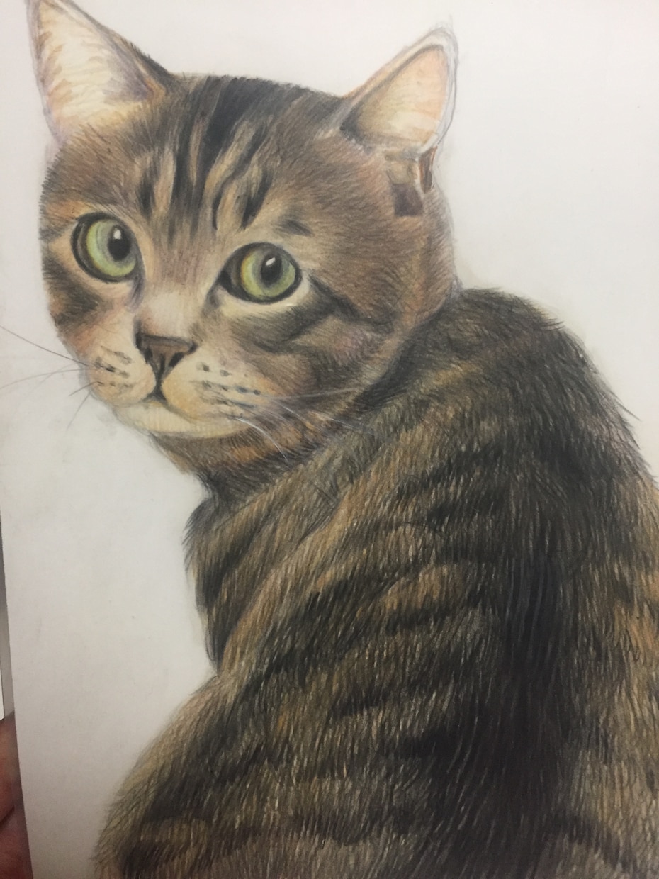 あなたの大事なペットの自画像描きます 大切な家族を一枚の絵にしませんか？ イメージ2