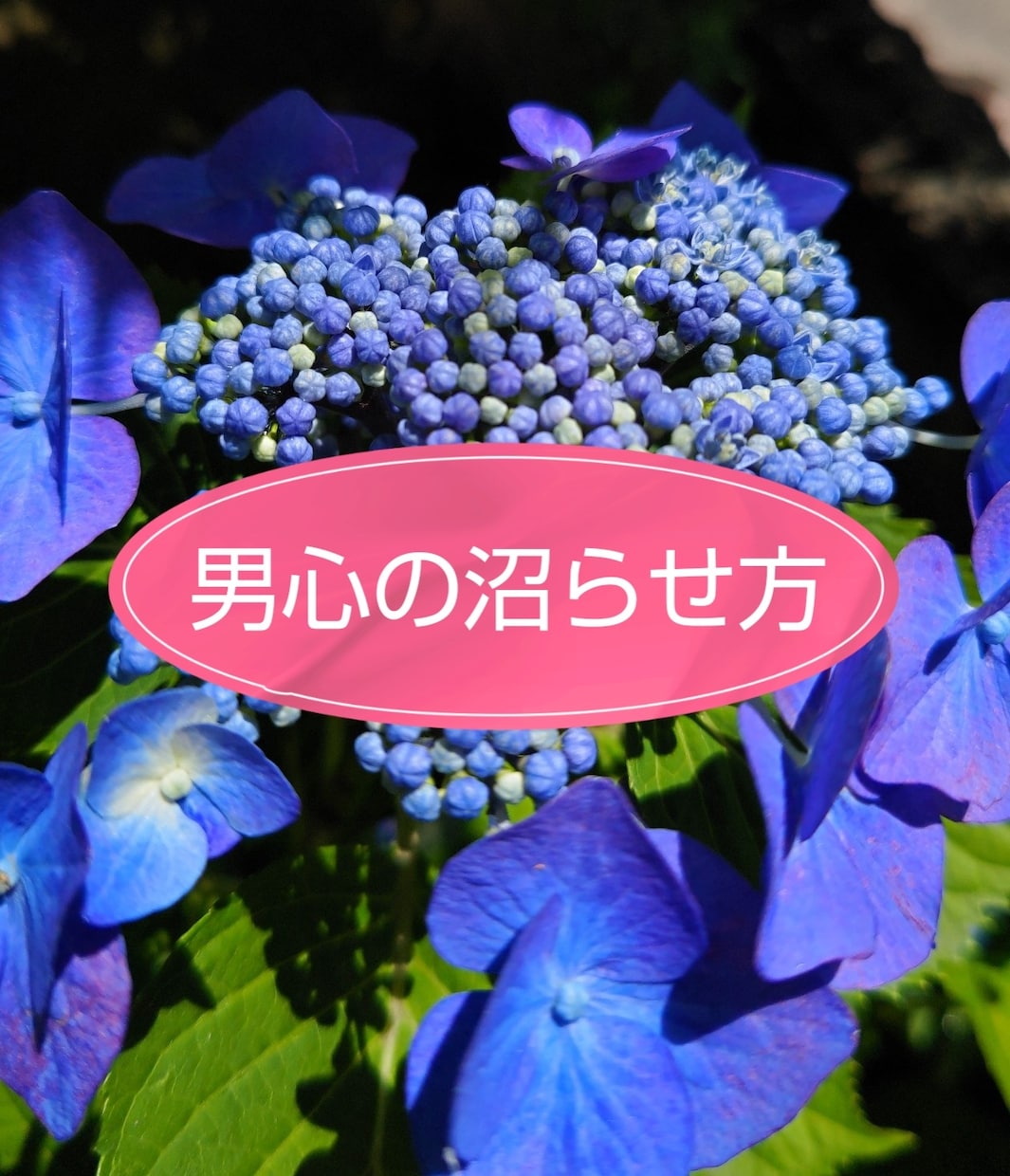 気になる男子の男心教えます 男子の沼らせ方は男子におまかせ。TPOに合わせてアドバイス イメージ1