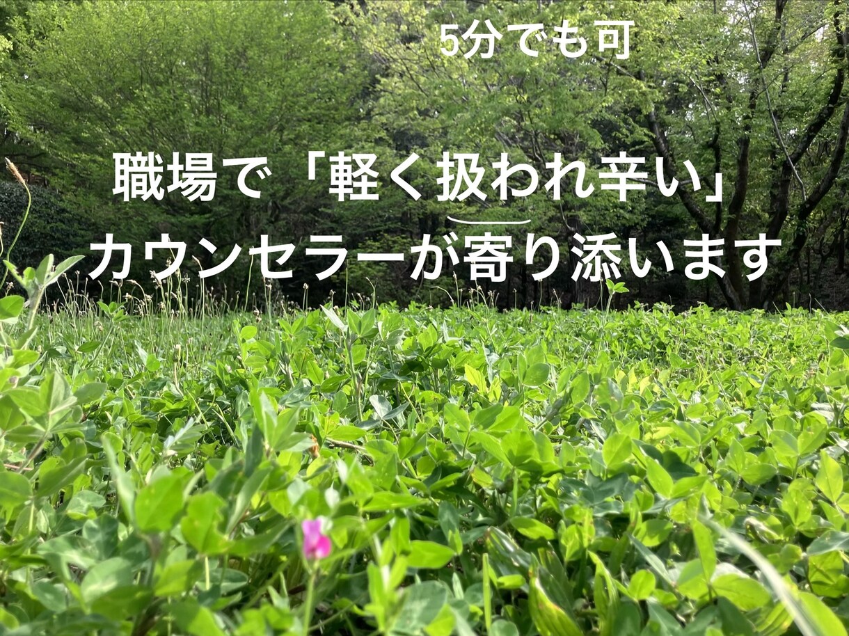 あなたの「自分を責めるクセ」カウンセラーが癒します 【見下される要因】幼少期の体験に原因があるかも知れません イメージ1