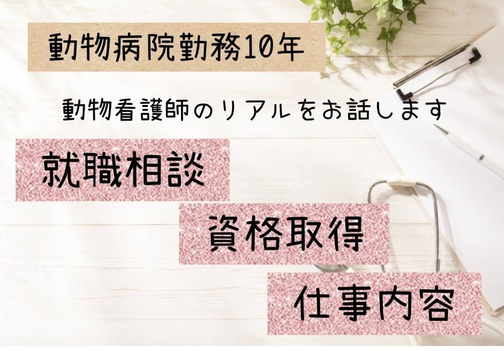 動物看護師の仕事や資格取得の相談に乗ります 動物病院勤務10年の経験をもとにお答えします イメージ1