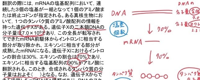 高校、受験生物を元医専プロ講師、現医学生が教えます 都内医学部専門予備校10年間勤務のプロ講師が受験生物を伝授 イメージ8