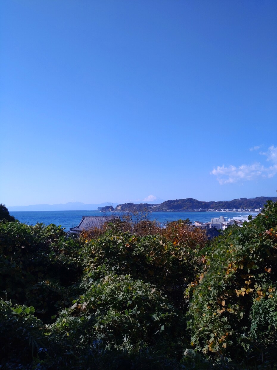 片思いや交際中の悩み相談をお受けいたします 恋愛での女性の悩みを男性目線でお答えします。 イメージ1