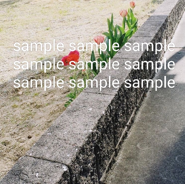 花のスナップ写真を提供します お花をエモく撮った写真集です✾ イメージ2