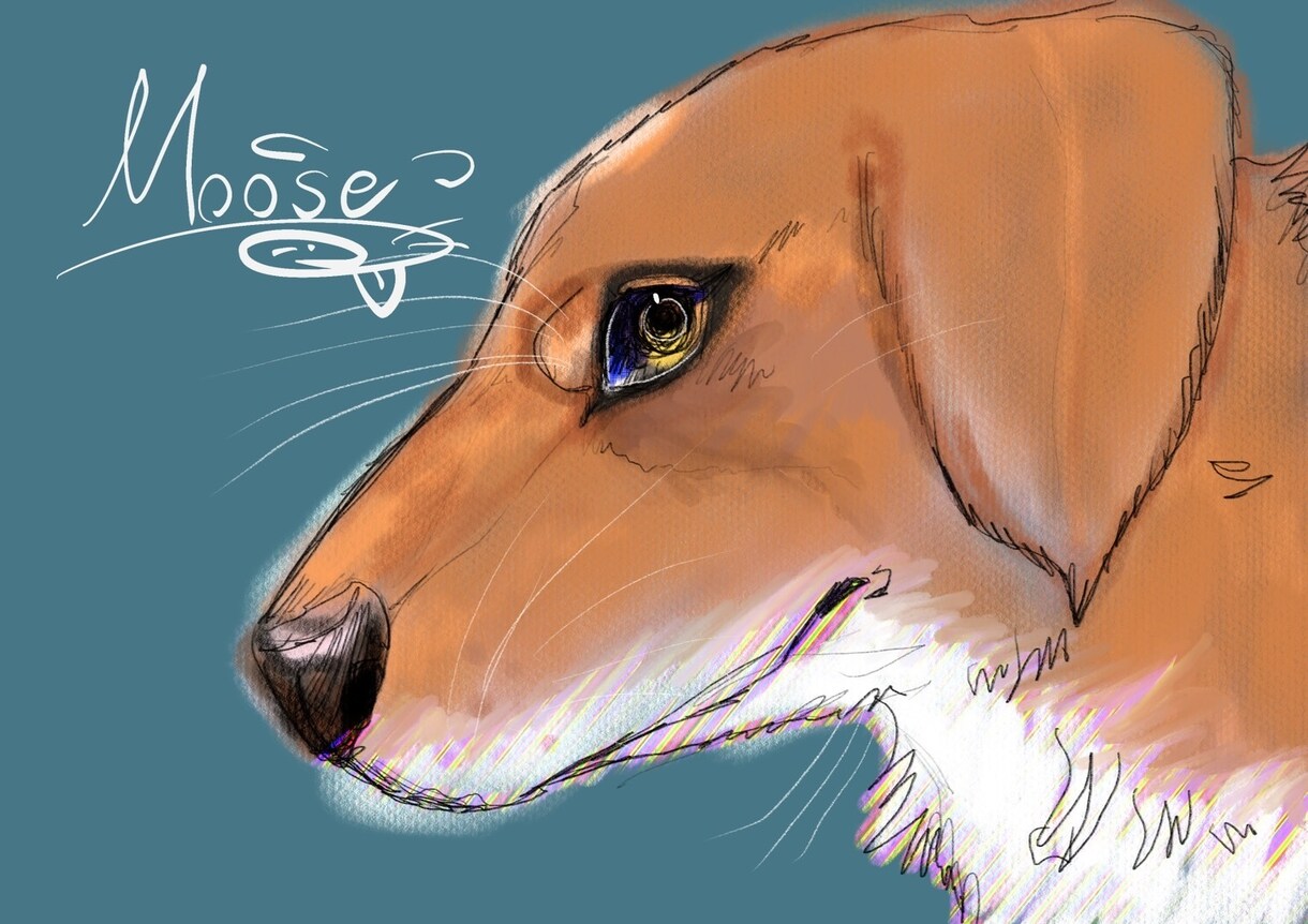 うちの子イラスト描きます 実績を積むためにお安くなっております イメージ1