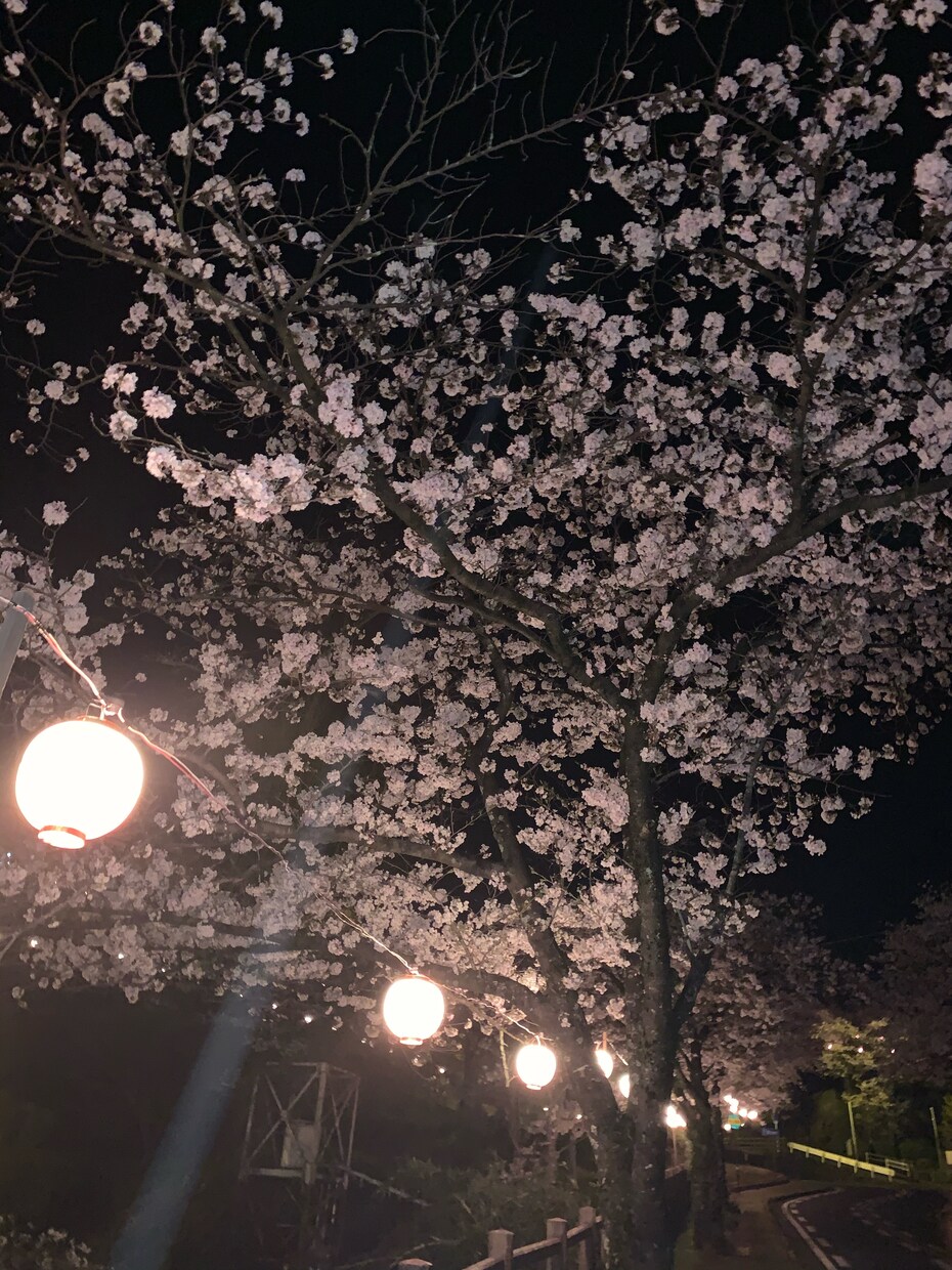 あなたの悩み聞きます 1人で抱え込まないで！あなたの悩みを一緒に解決します。 イメージ1