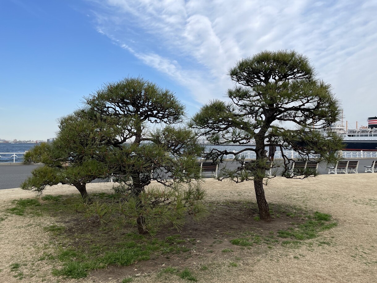写真の色編集、光編集承ります 写真がなんか物足りないと感じた時綺麗な色合いに編集します イメージ10