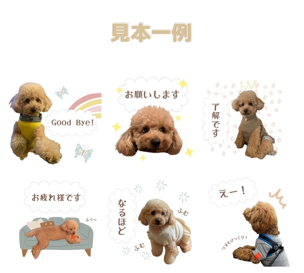 ゆるふわ！うちの子LINEスタンプをつくります かわいい我が子のスタンプ作りませんか？ イメージ2