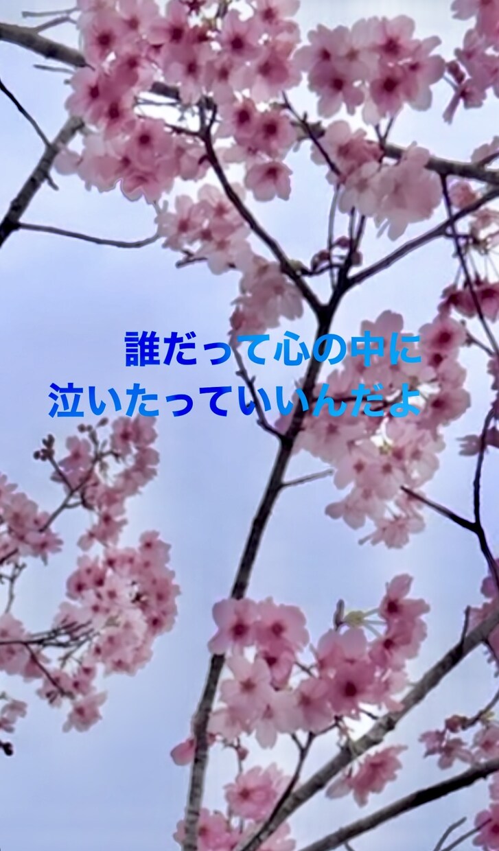 悩み全般お話し聞きます 良い事悪い事をはっきりする事で悩みを解決しましょ イメージ1