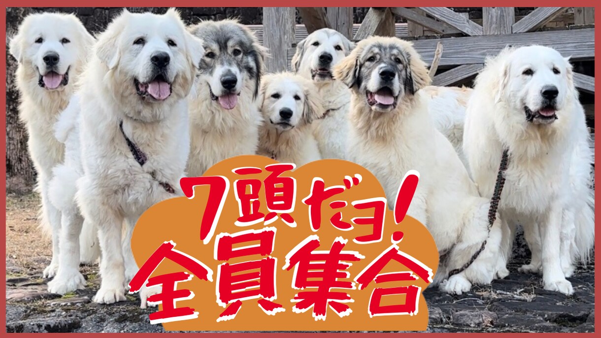 動画作成承ります 出来るだけ早く出来るだけ安く！ イメージ2