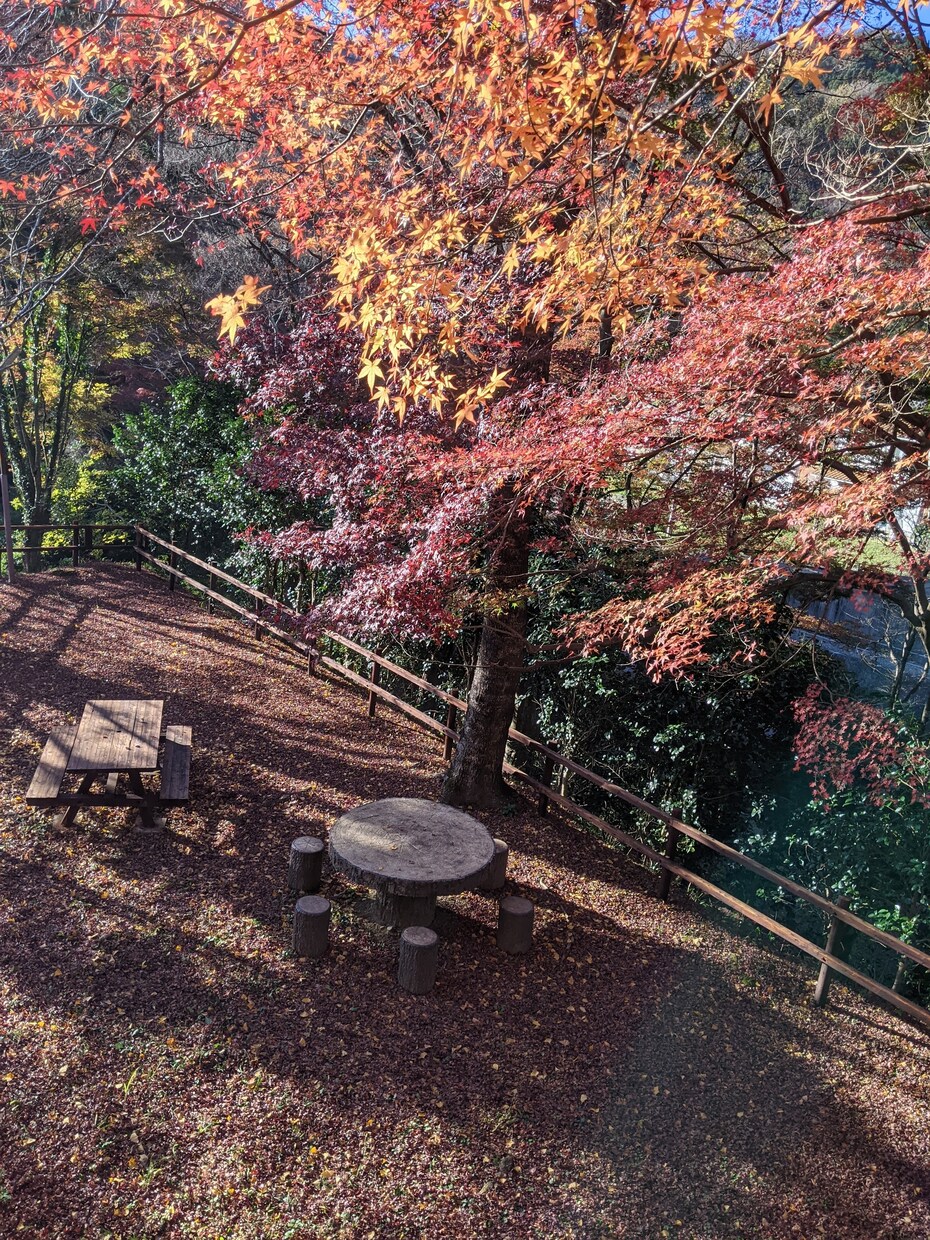 保育の悩み聞きます 幼少期(2歳児から)の育児の悩みをぶつけてください。 イメージ4