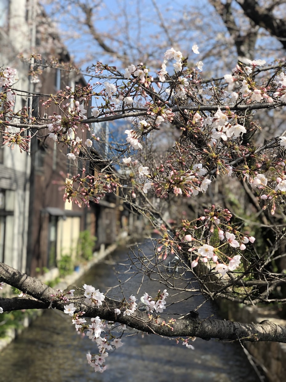 あなたの心に親身になって寄り添います １日間、心身ともに癒されてみませんか？ イメージ1