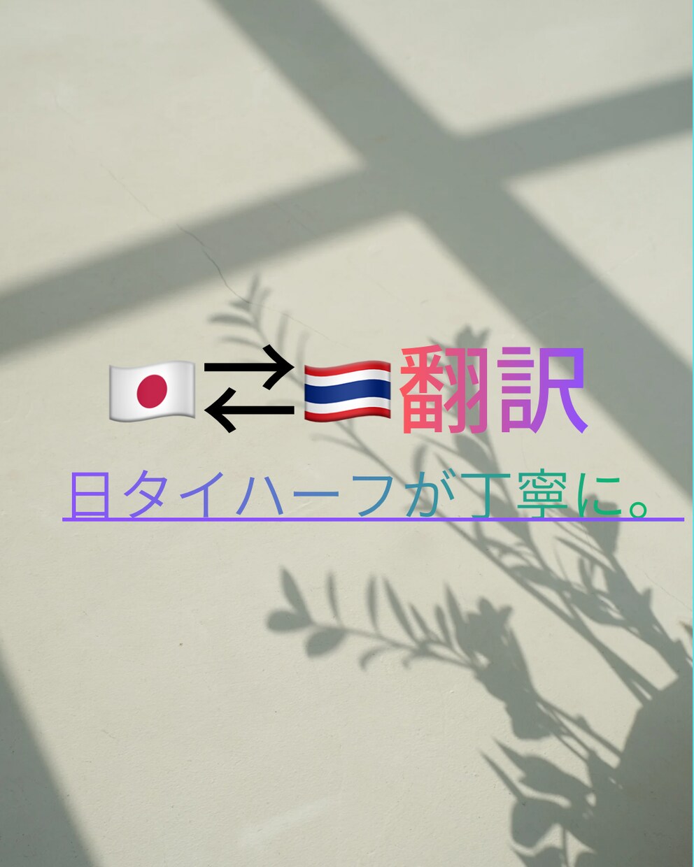 日タイ翻訳｜LINE・日常会話を自然に翻訳します 日タイハーフが 日常会話レベルの通訳致します！ イメージ1