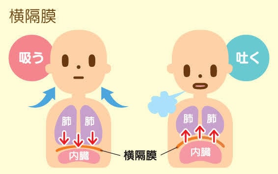 緊張やストレスを最速最短でほぐす方法を教えます 心身をほぐしたい方や大切な場面で最大限の力を発揮したい方！ イメージ2