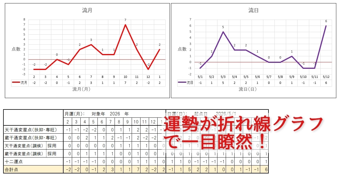 自動で命式作成！四柱推命Excelソフト販売します 蔵干、日干エネルギー・行運の判断要素等がカスタマイズ可能！ イメージ7