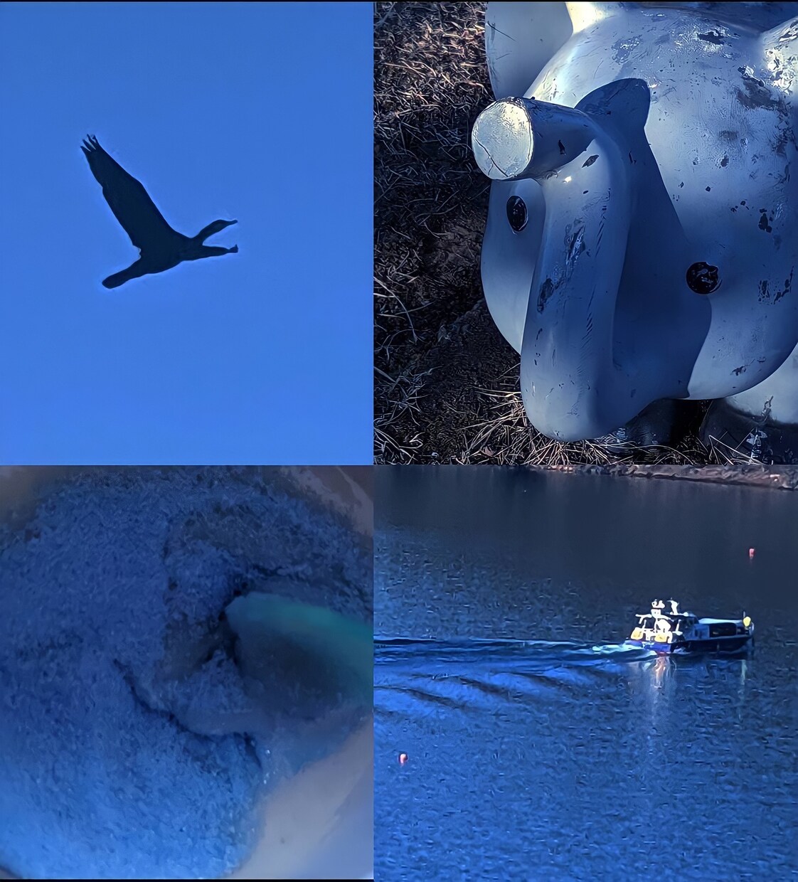 綺麗で雰囲気のある4枚写真を制作します 綺麗なものが好きな方、雰囲気のある写真が好きな方など向け イメージ2