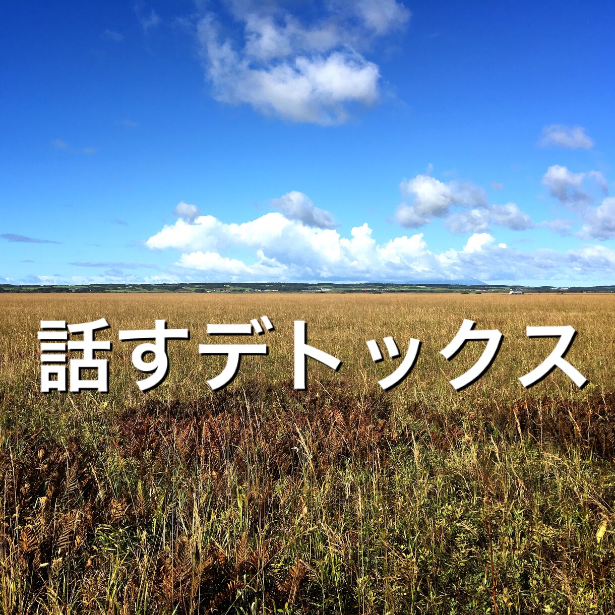 誰にも言えない話、ブラックな話をひたすら聴きます 良いも悪いも評価されずにとことん話せるからデトックスできる イメージ1