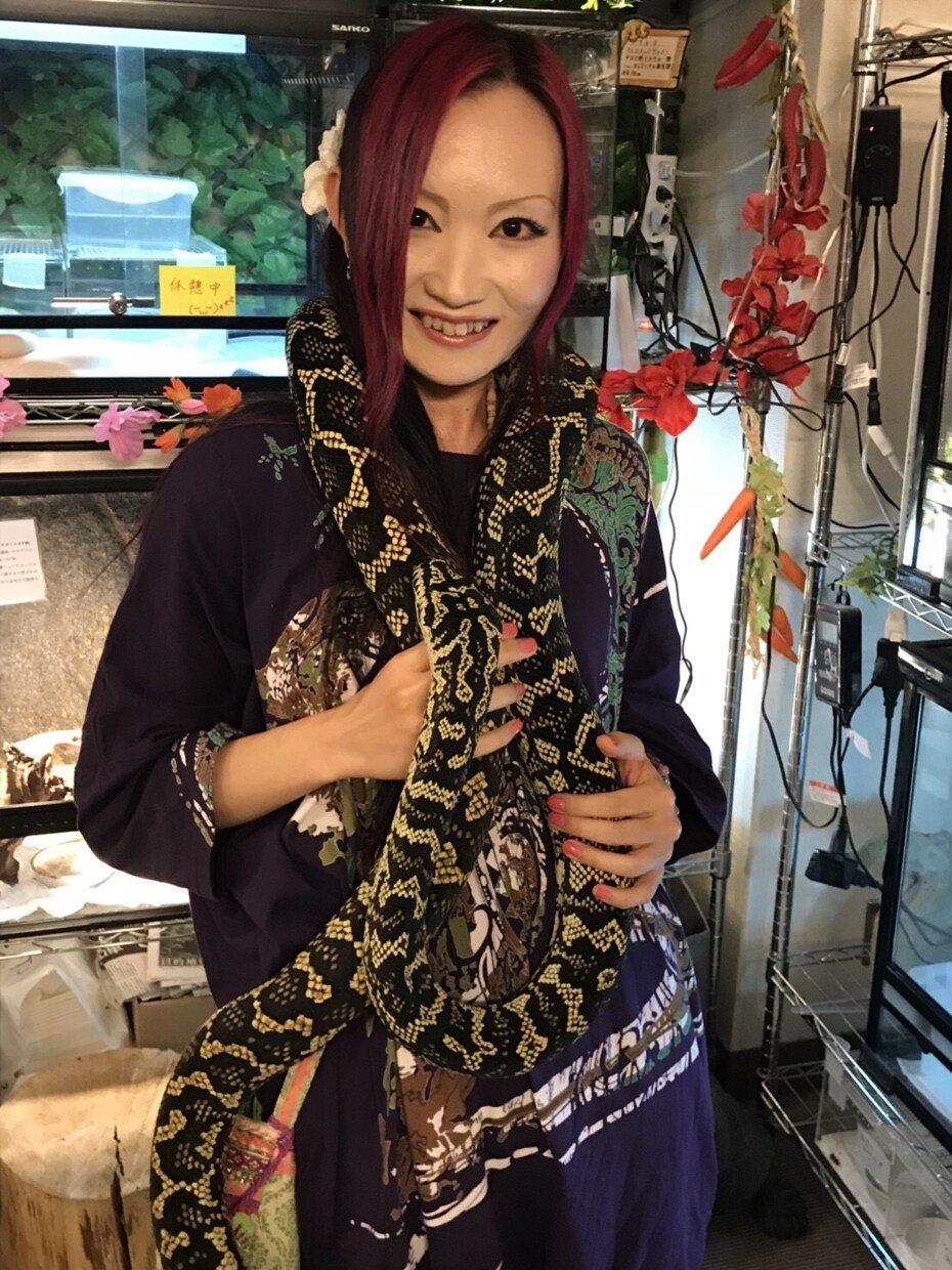 アニマルコミュニケーションで動物さんとお話します ペットさんと気持ちを通わせて、より絆を深めましょう。 イメージ5