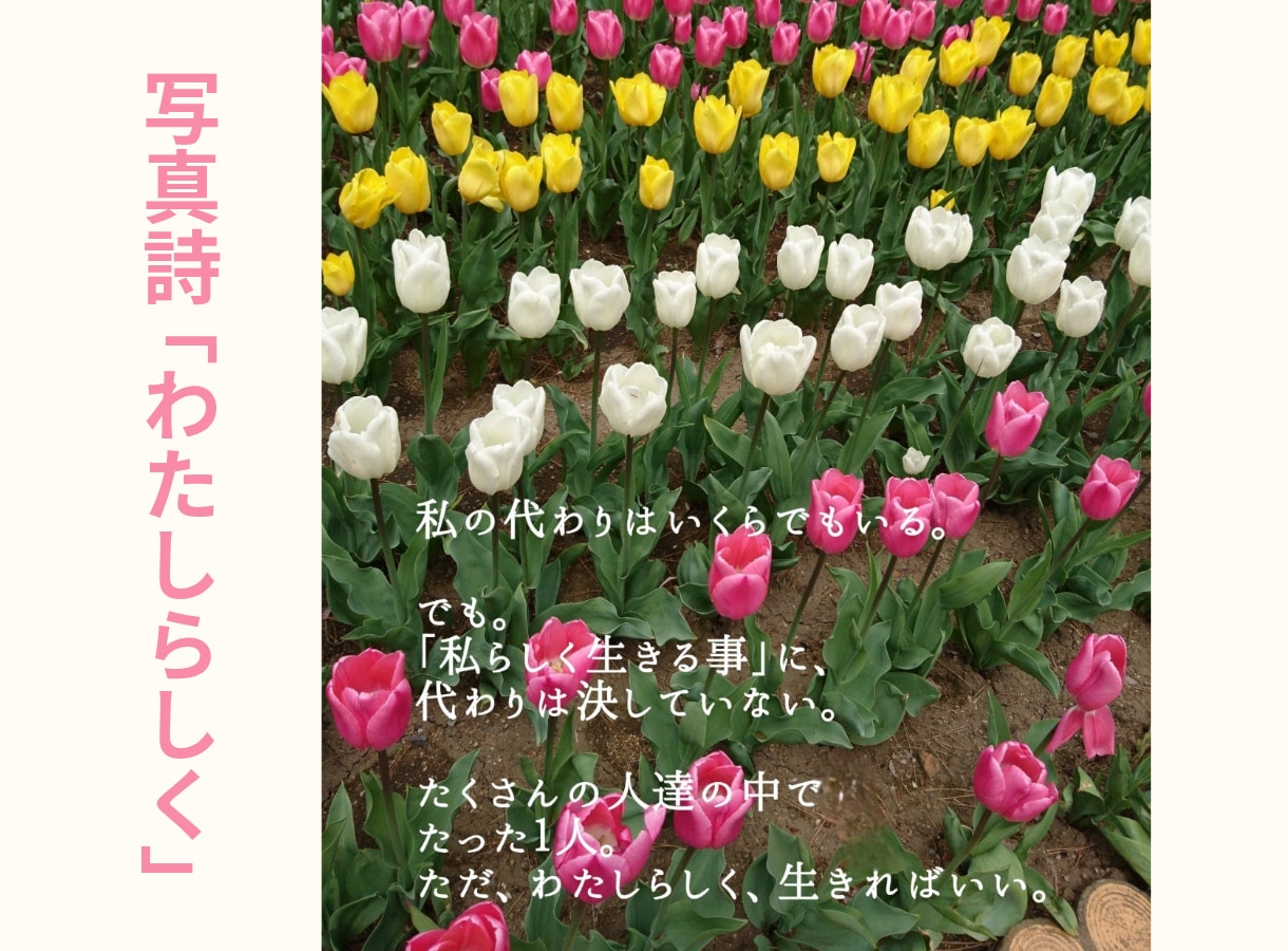 お話し相手相談相手｢言葉の花束｣をあなたに届けます お話し相手となり、貴方に寄り添うお言葉、お声掛けを致します。 イメージ2