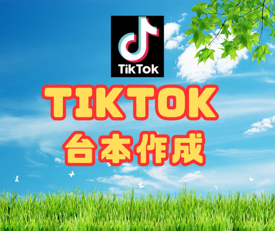 TikTokの台本作成をいたします 売れる台本でビジネス展開したい方へ イメージ1