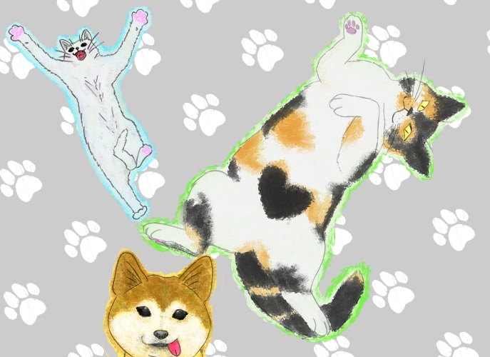 犬猫イラスト描きます あなたの愛犬、愛猫をイラストにしませんか？ イメージ3