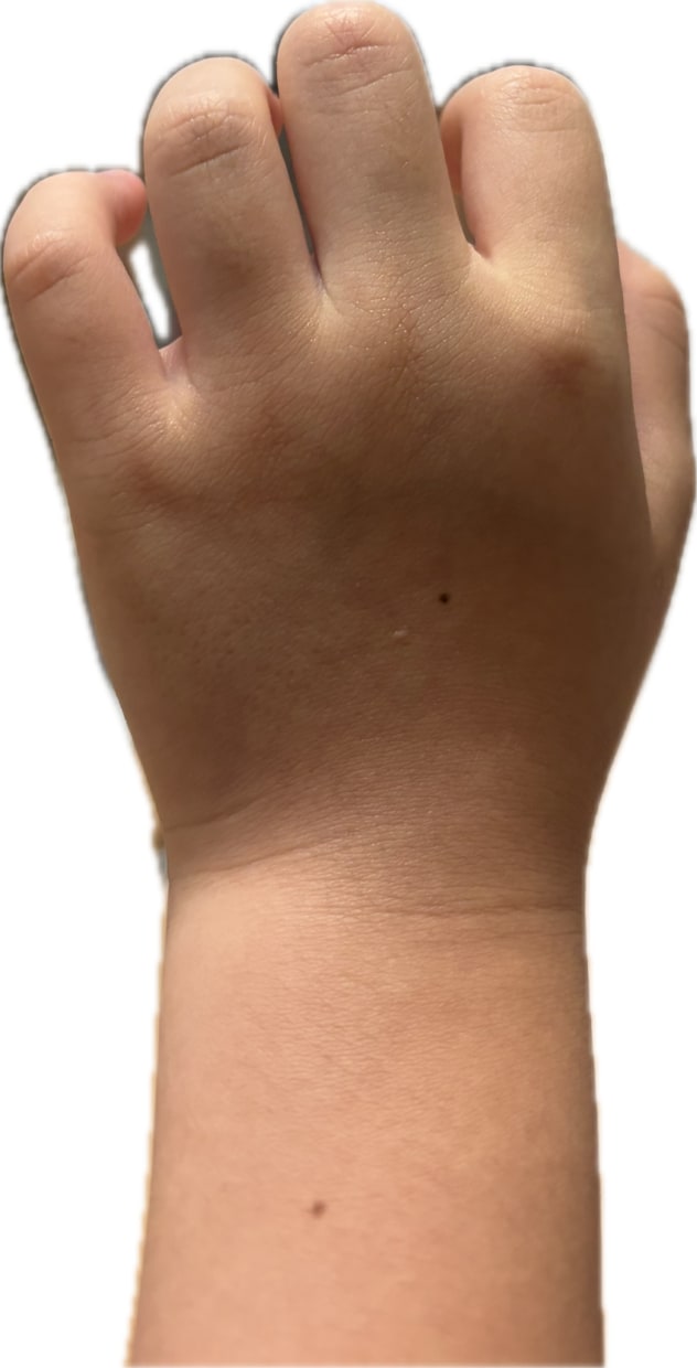 敬老の日 : お孫さんの手を孫の手にします 写真から3D造形！愛おしいお孫さんの形をした特別な孫の手 イメージ3