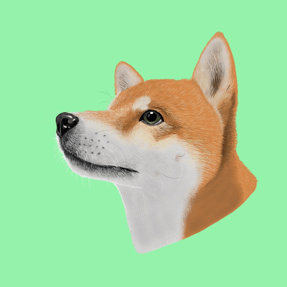 あなたのペットのイラスト描きます 大好きなペットの写真を絵にしませんか？ イメージ2