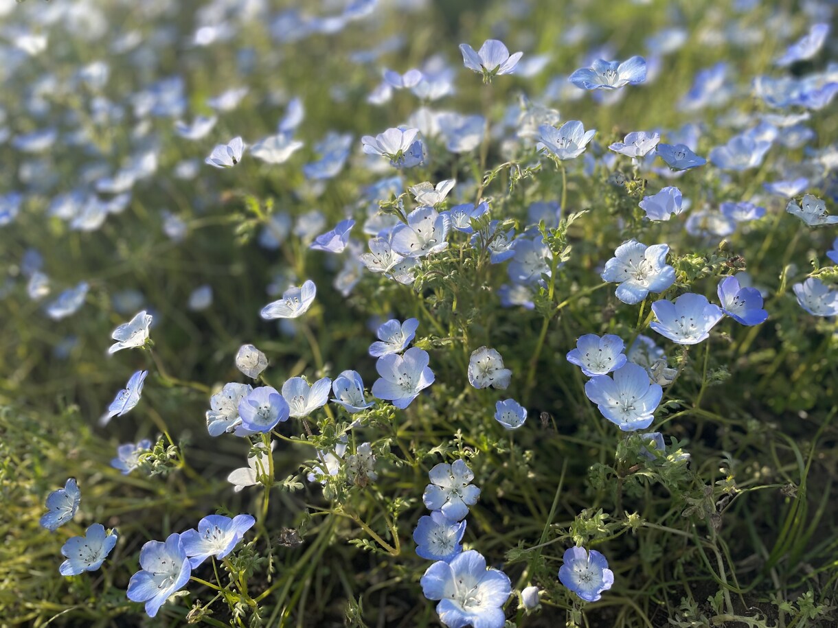 幸せになりたいあなたへ 次の一歩のアドバイスします 次の一歩を見つけたいあなたへ、未来からの情報をお伝えします イメージ1
