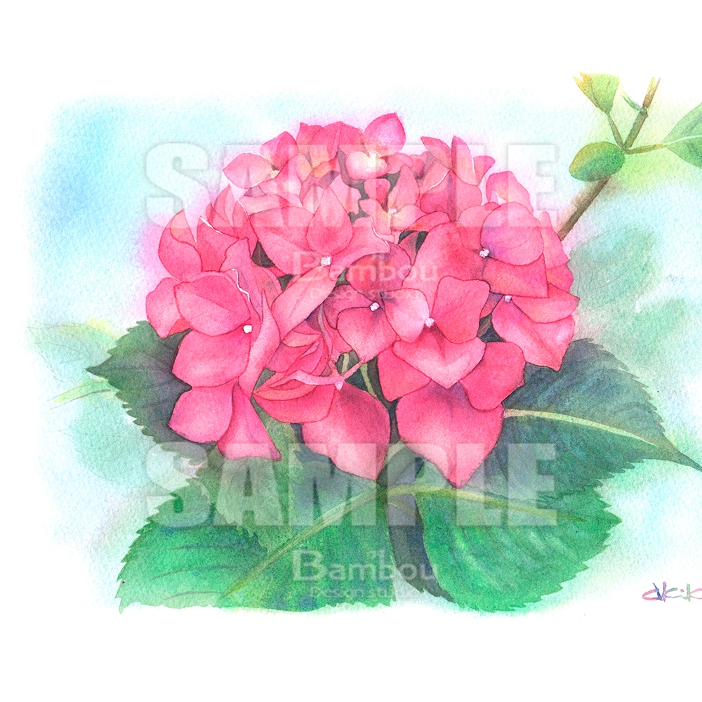 商用OK！プロが透明水彩で動物・植物を描きます 書籍・雑誌・カタログ・ウェブサイトなどにお使いいただけます イメージ7