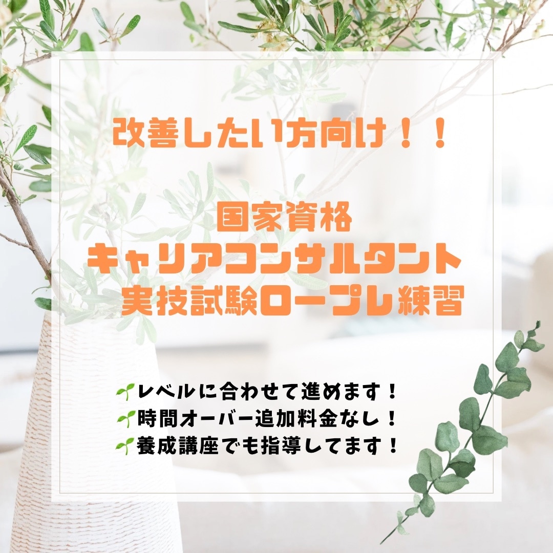 キャリアコンサルタント実技試験のロープレ改善します 本気で改善したい方向け！追加料金なし！2級技能士がサポート イメージ1