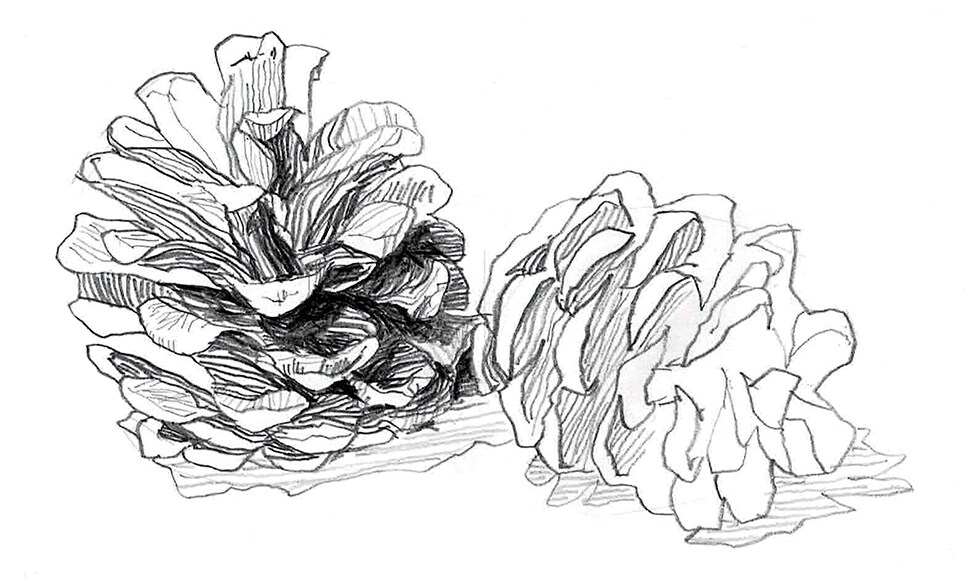 透明感のあるイラスト作成いたします プロフィール用や挿絵などのイラストに如何でしょうか イメージ4