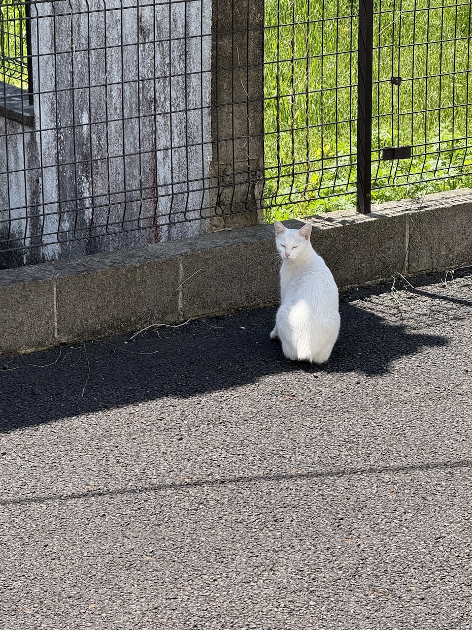 恋愛の“モヤモヤ”を一緒に整理します もう1人で抱え込まなくて大丈夫です！ イメージ2
