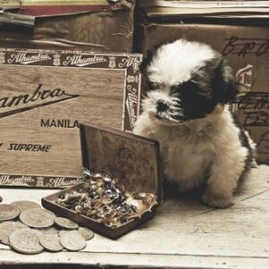 副業・個人事業主の１年分記帳代行します 【納期1週間】迅速対応！個人向け記帳代行 イメージ1