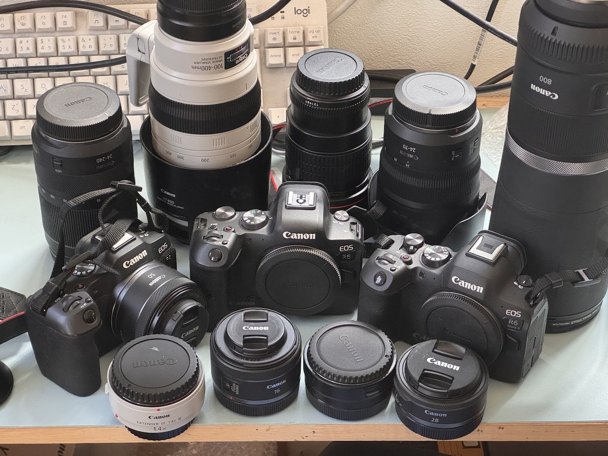 撮影代行⭐︎あなたの代わりに写真撮ります 実績作りのための特別価格！家にいながら写真を入手したい方へ イメージ1