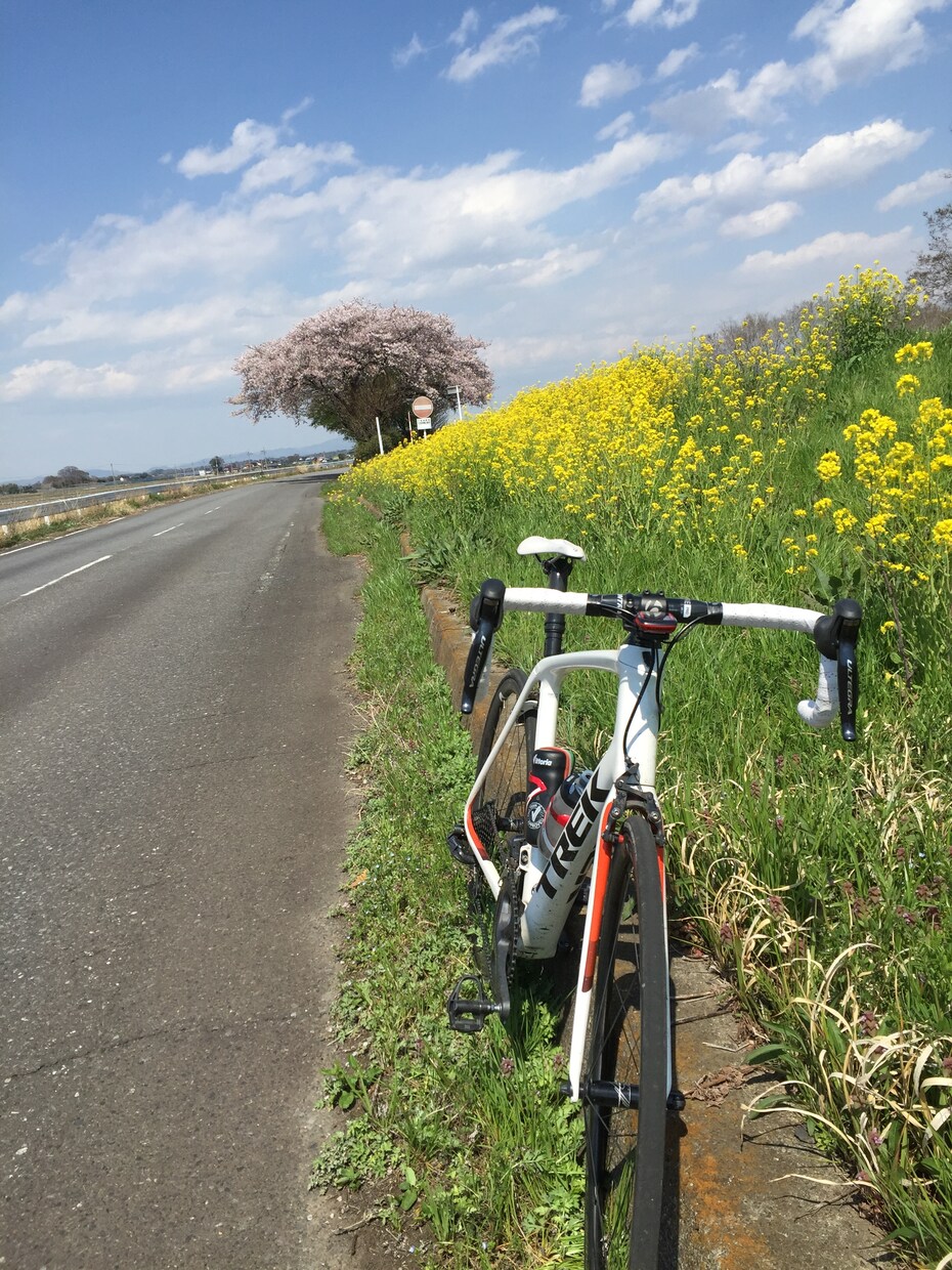 ロードバイク初心者必見！速くなれます レースに興味ある人、順位が低くて悩んでる人へ イメージ2