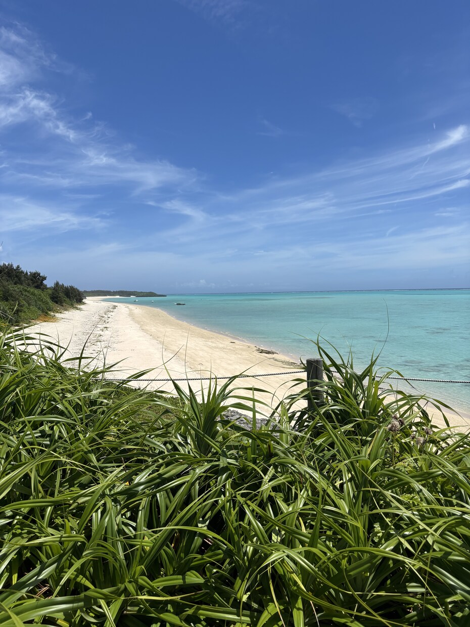月額/沖縄の所有物件等の定期状態チェックします 沖縄の空き家・民泊・賃貸物件の定期状態チェックします イメージ1