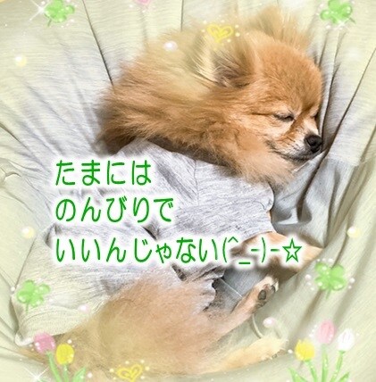 あなたの子育て応援します シングルマザーが疲れた心に寄り添います イメージ8