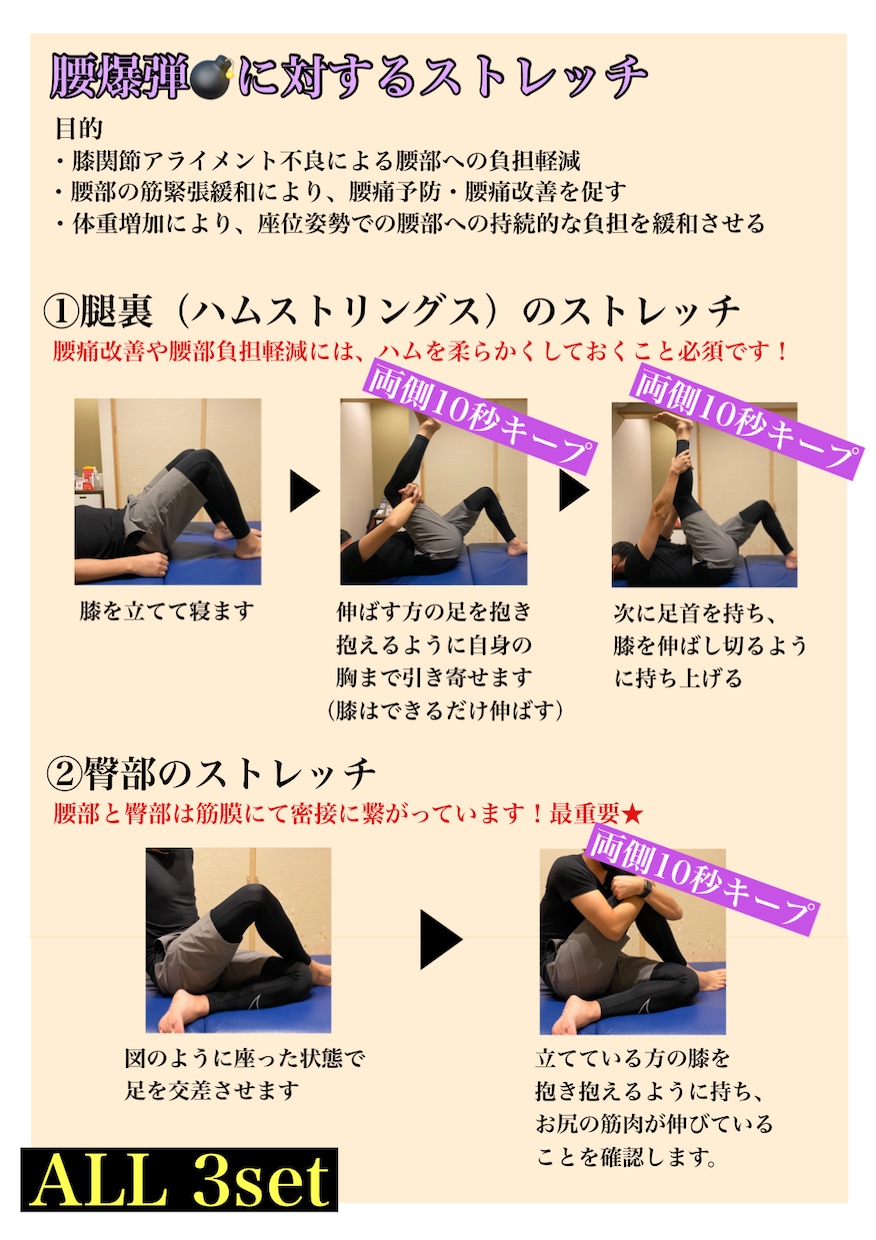 自宅で簡単！あなた専用のエクササイズ資料作成します 現役理学療法士が監修！誰にも見られずマイペースエクササイズ！ イメージ4