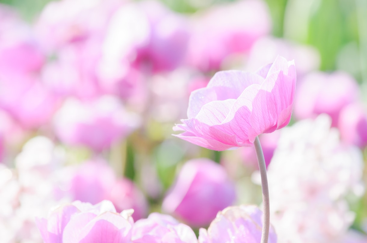 3ヵ月以内にあなたに起こる嬉しいことをお伝えします 写真付き♪より幸せになるためのアドバイス付き☆.。.:*・゜ イメージ1