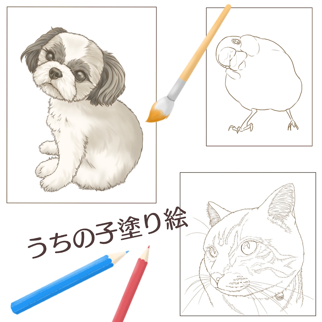 うちの子塗り絵お描きします ペットなどのお好きな動物を自分色で彩ってみませんか イメージ1