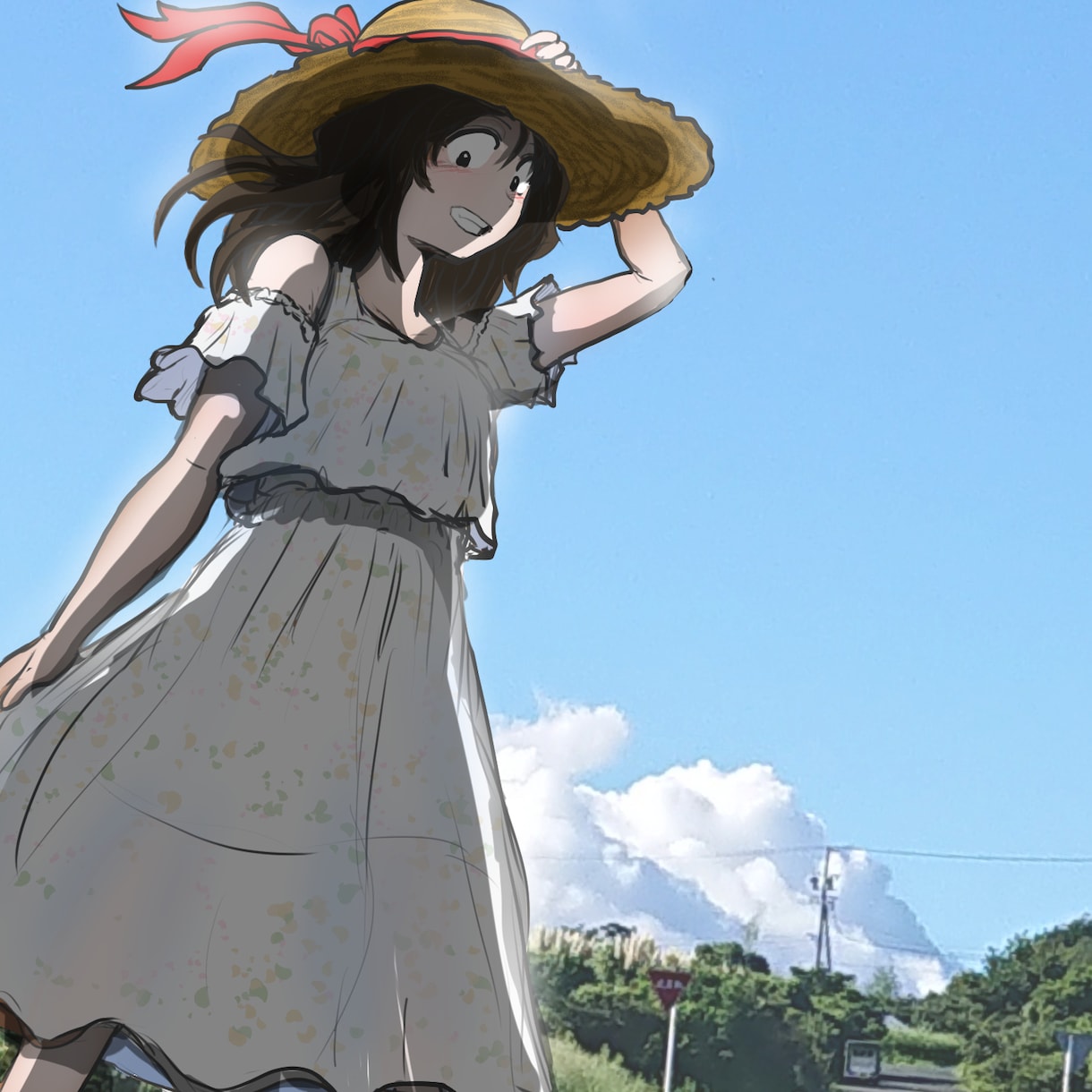 簡単なリクエストを伺い夏空イラストお任せで描きます 簡単なリクエストだけ伺い、お任せで夏の一枚絵を描きます イメージ6