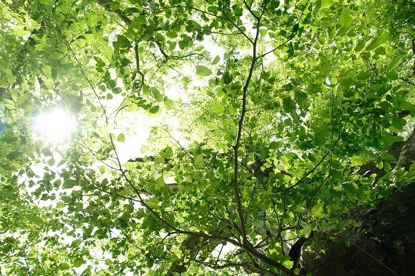 恋人の悩み＊ 秘密厳守でなんでも聞きます どんな悩みでもお聞かせください♪ イメージ1
