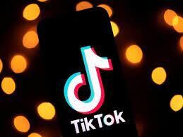 日本人限定TikTokフォロワー100人拡散します 超スピード対応で安心・安全にフォロワー数支援します！ イメージ4