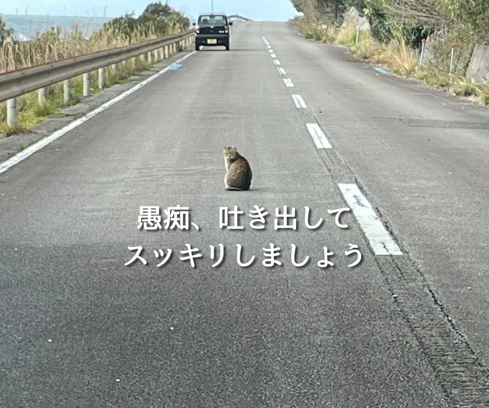 秘密厳守❗️愚痴・お悩み・なんでもお聴きします ✅否定しません❗️沈黙しても静かに待ちます｜音声サンプルあり イメージ2